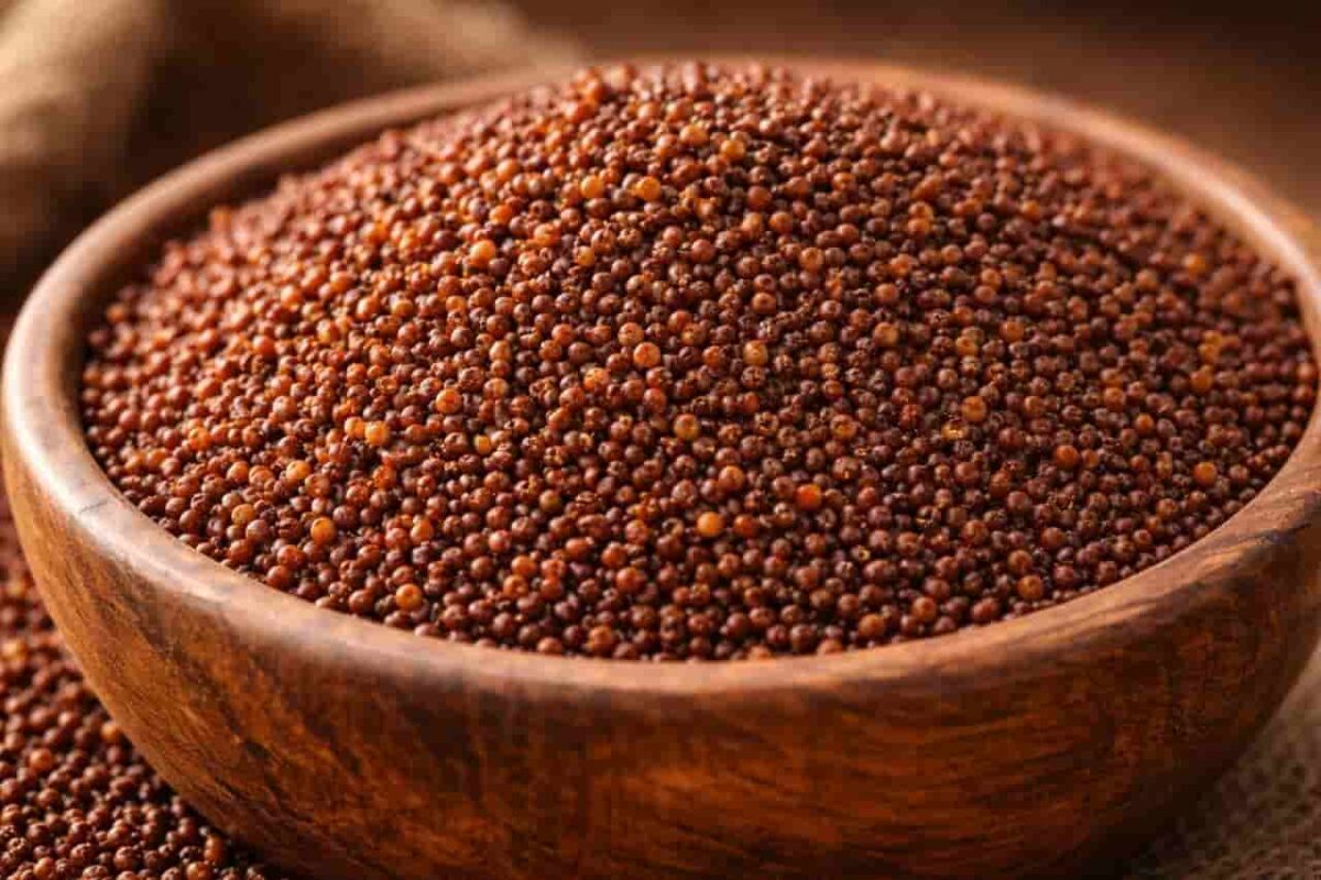 रागी क्या होता है जानकारी रागी क्या होता है – रागी के दाने