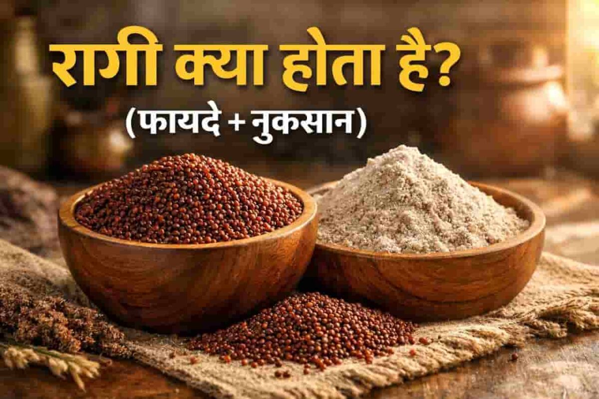 रागी क्या होता है – फायदे और उपयोग रागी क्या होता है? – रागी अनाज और आटा