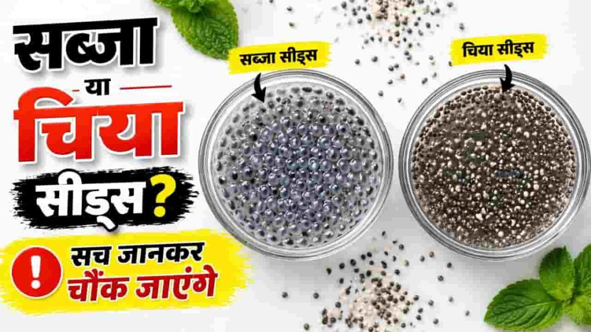 सब्जा सीड्स vs चिया सीड्स में क्या अंतर है